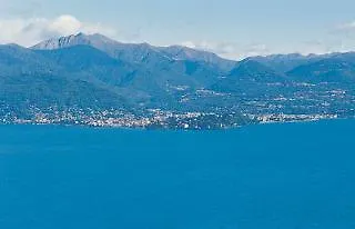 Brisino